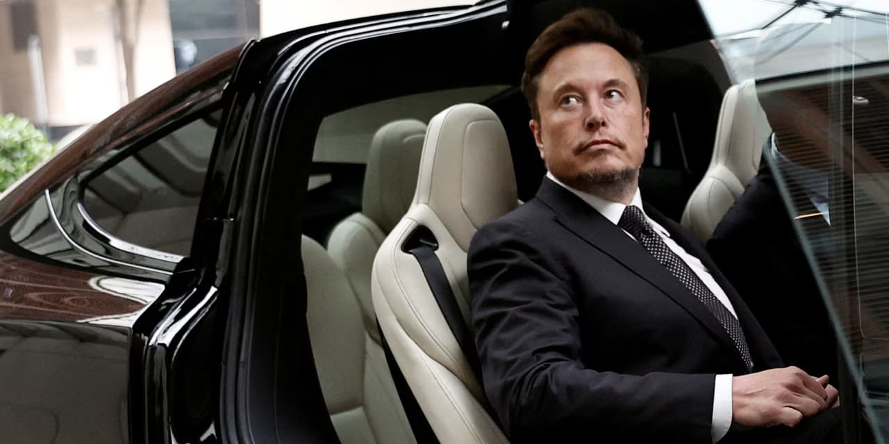  Tesla Grants Elon Musk $29 Billion Interim Pay