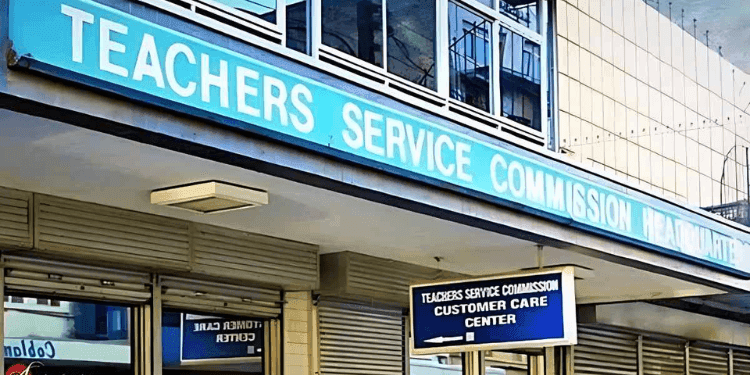 45,000 Teaching and Internship Opportunities Now Open