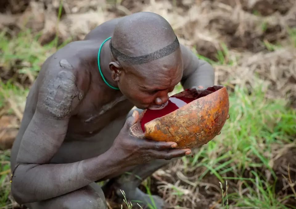 Why Some Communities Consume Raw Animal Blood