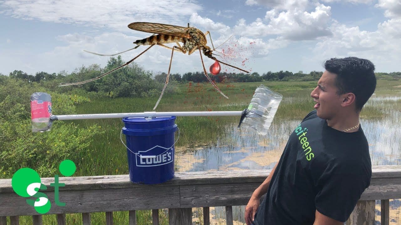 Effective Remedies for Dealing with Mosquitoes at Home